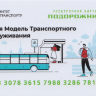Санкт-Петербург Подорожник  (Новая Модель Транспортного Обслуживания)