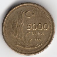 Турция 5 000 лир 1995 год